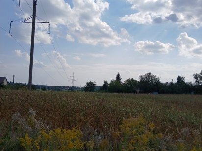 Продаж земельної ділянки, Боголюби Боголюби