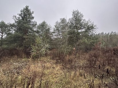 Продам земельну ділянку с.Кульчин 15 сотих Кульчин