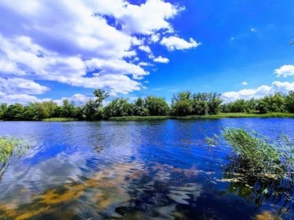 Участок 11 сот.Кировское.Лес,река. Обухівка