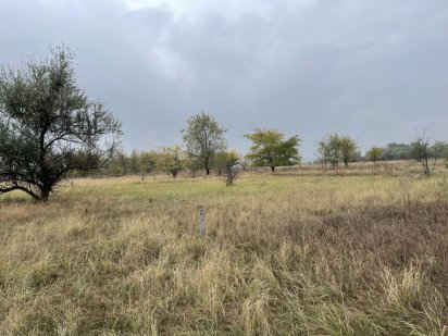 Продажа земляної ділянки