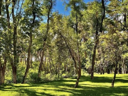 Продам участки от 4-6 сот. Обухівка