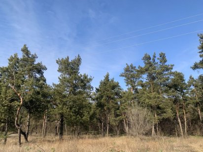 Продам участок 12 сот Обухівка