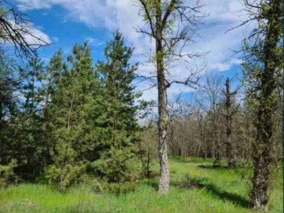 Продам участок напротив леса в пос.Обуховка