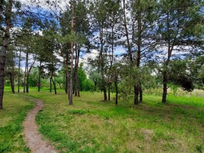 Продам участок 62 сотки Обуховка ,рядом лес ,река Орель