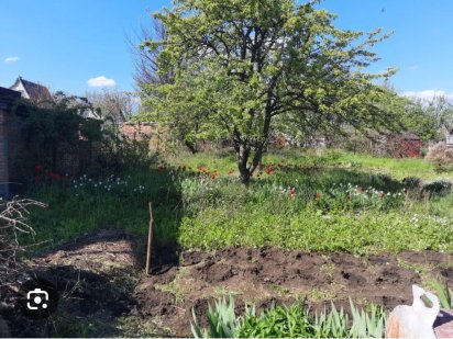 Дачный участок Шинник 4 Старые Кодаки