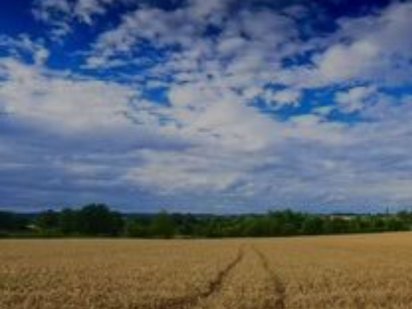 Продам земельний пай, площею 6,640га Старые Кодаки