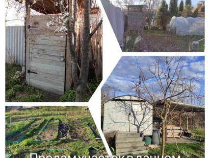 Продам дачу в приднепровске в садовом товариществе: виноградарь