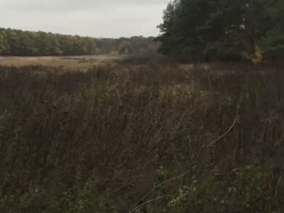 Продам шикарный участок! 25 соток! Орловщина! Супер место! Орловщина