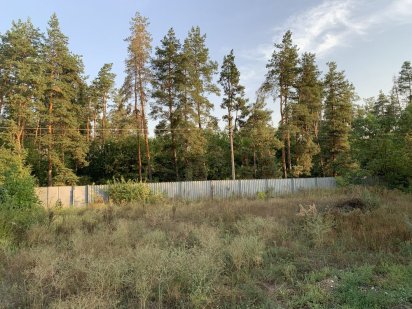 Продам участок в с.Орловщина Орловщина