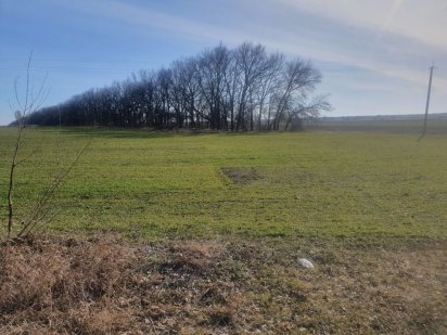 Земельный пай,земля Орловщина