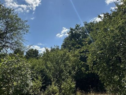 Земельный участок с. Орловщина Орловщина