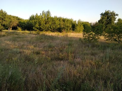 Участок земли 25 соток.Орловщина будинок дачя