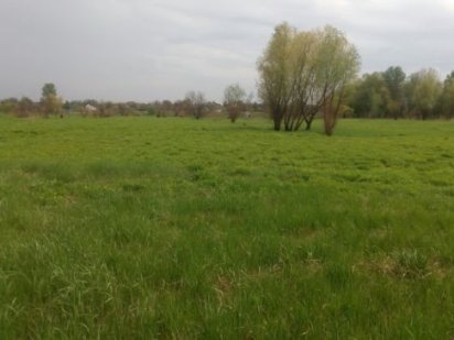 Участок 1 Га в с. Новоалександровка Новоалександровка