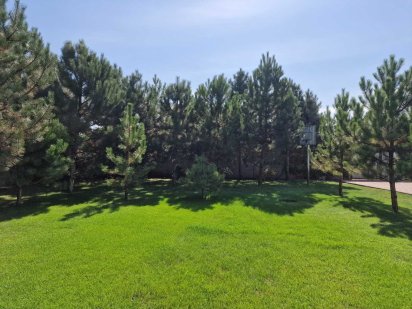 Продам красивый участок 6,5соток с соснами! Новоселовка/река Самара!