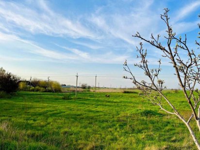 28 соток для вашого будинку мрії: земельна ділянка в с. Єлизаветівка