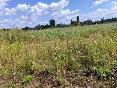 Земельна ділянка Новоселівка 24 сотки