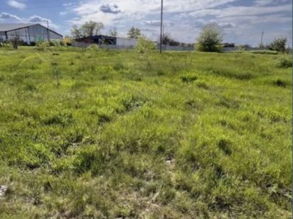 Участок земли земельна ділянка Елизаветовка