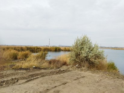 Продается участок - 0,8346 га с выходом к берегу реки Самара Новоселовка