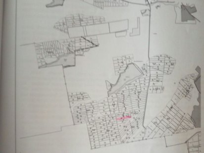 Продам земельный пай