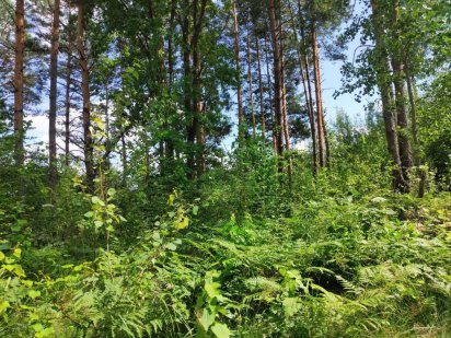 Продам земельну ділянку 7-сот Міжріччя Тетеревка