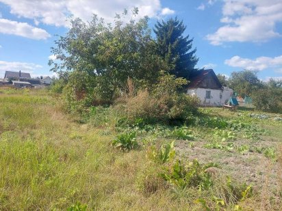 Тетерівка, ділянка 38 соток (26136564) Тетеревка