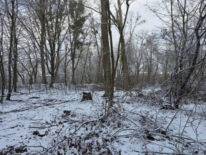 Ділянка Зарічани, 9 сот. р-н мосту (26144693) Заречаны