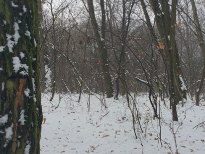 Пропозиція! Топ-локація. Земельна ділянка з видом на р. Тетерів Зарічани