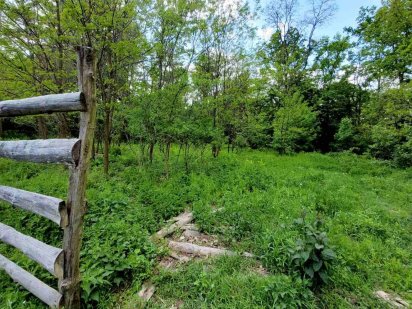 Продам земельну ділянка 10сот в Станишівці. Гарна локація. Світло Станишівка