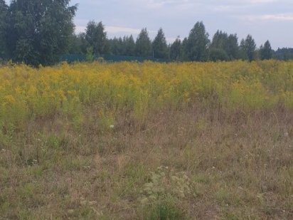 Пропозиція для забудовників, чудова інвестиція! Зем. ділянка 1,33 га Зарічани