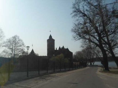 Продажа, обмен участка 0.15Га г.Радомышль, р.Мыка, лес-забудова Радомишль