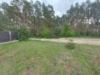 Ділянка Пряжів навпроти лісу (26104139) Пряжов