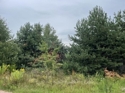 Продаж земельної ділянки в Пряжів Пряжів