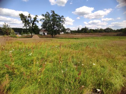 Продам земельну ділянку в с.Пряжів Пряжов