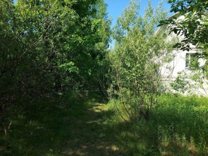 Кутова ділянка до лісу на початку Барашівського масиву (26114275) Барашівка