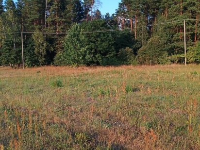 Земельна ділянка біля лісу. Барашевка
