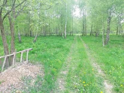 Ділянка 18 соток Глибочиця в березах (26102350) Глубочица