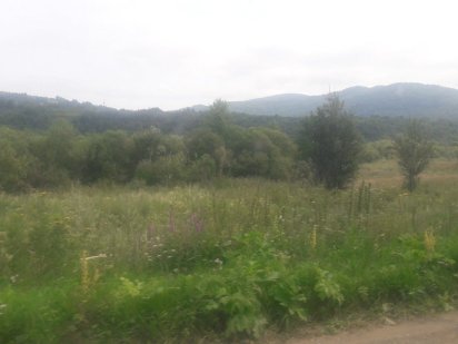 Продам земельну ділянку( пай) Олевск