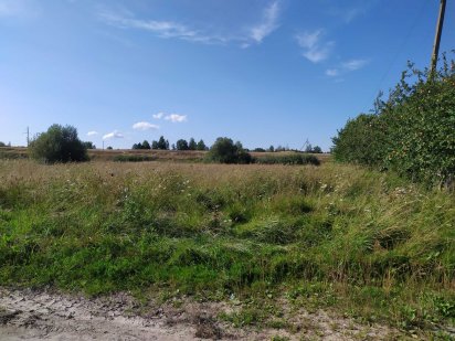 Земельна ділянка Олевск