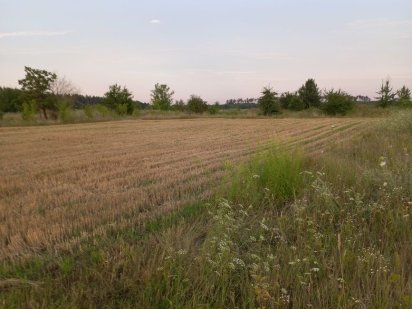 Земельна ділянка під будівництво, Брусилів, Брусилов