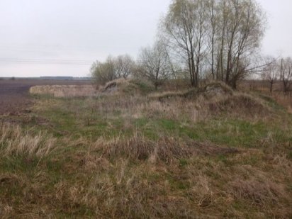 Земельна ділянка Брусилів Брусилов