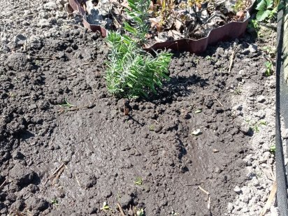 Земельна ділянка під забудову Брусилов