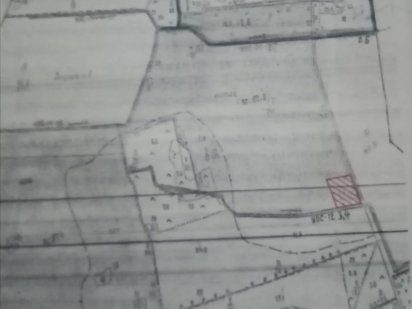 Земельний пай 2 га Барановка