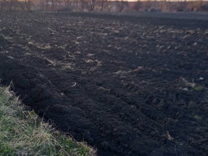 Продаж земельної ділянки Попільня