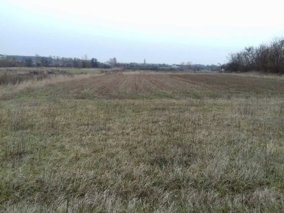 Продам земельну ділянку 11,4 сотих  під забудову в смт. Черняхів Черняхів