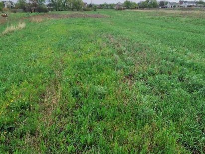 Продам Землю Дуже срочно Черняхов