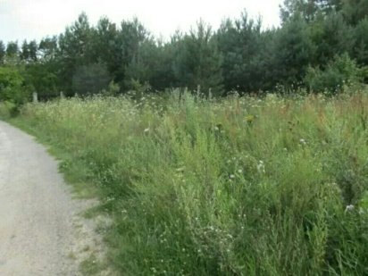 земельный участок Дениши