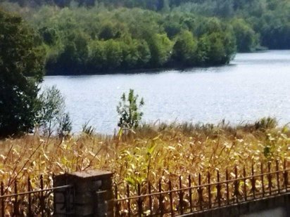 № 12851 - Елітна ділянка з виходом до річки, 30 сот., фундамент, Буки Дениши