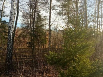 Продам земельну ділянку під будівництво Дениши