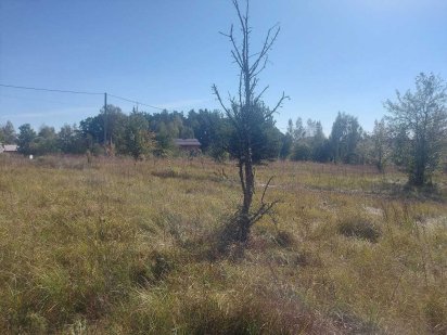 Ділянка 27 сот. Дениші під забудову (26105187) Дениши