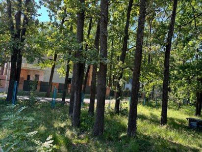 Ділянка в дубах, с.Довжик (26140431) Довжик